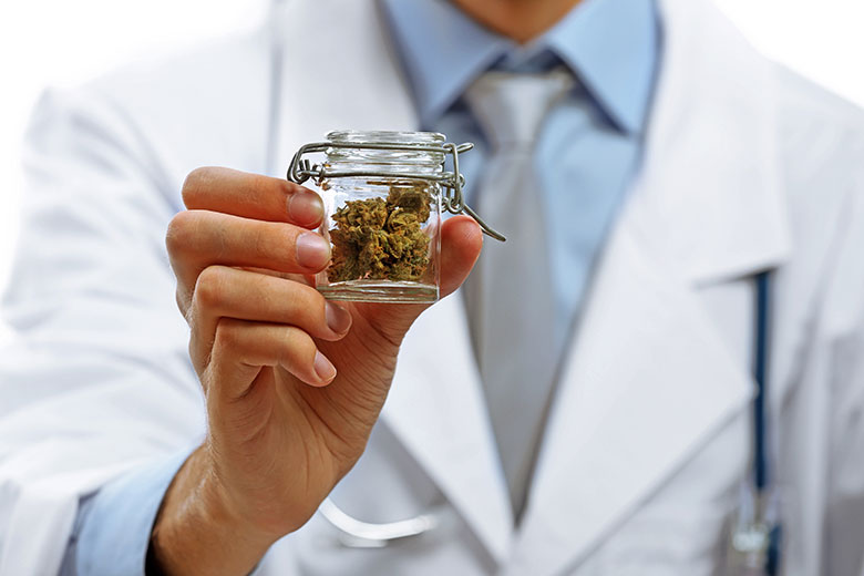 Comprehensive Guide to Medical Marijuana Doctors in Hollywood, Florida