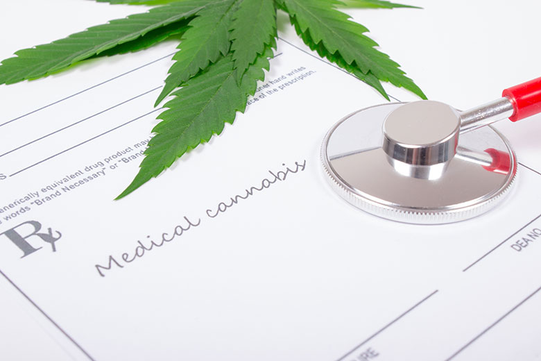 Medical Marijuana Evaluations in Kendall, Florida: Your Comprehensive Guide