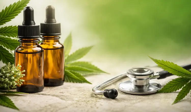 Cannabis doctor appointment Miami